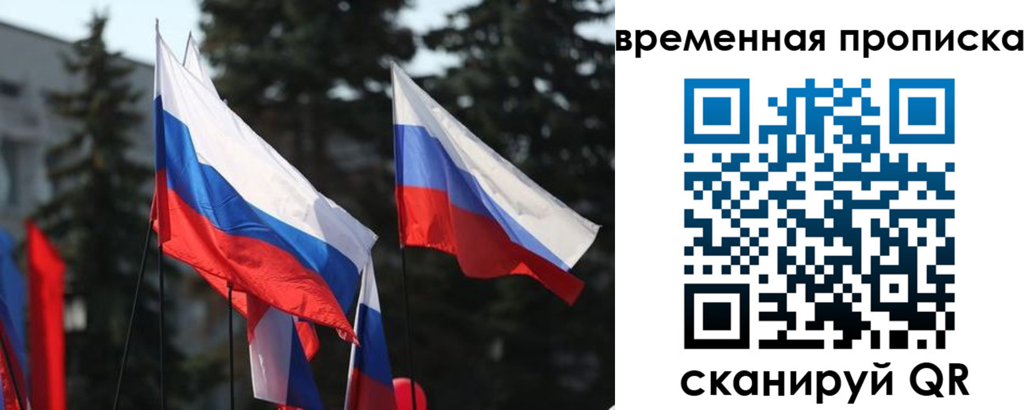 прописка регистрация в Курске
